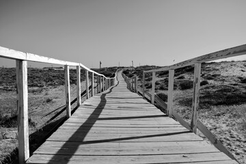 Wooden way