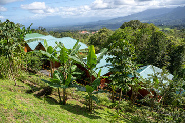 Hotel with bungalows in the middle of the jungle