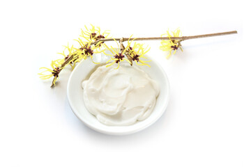 Fototapeta na wymiar Yellow blooming witch hazel (Hamamelis) and a bowl with natural ointment, medical plant for skin care, cosmetics and alternative medicine, isolated with shadows on a white background, copy space