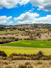 Fields in the meadows