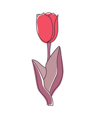 Vector stylized red tulip. This illustration is for a poster or textile print