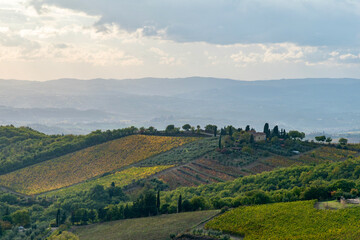 Chianti vineyards in autumn