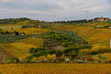 Chianti vineyards in autumn