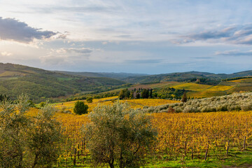 Chianti vineyards in autumn