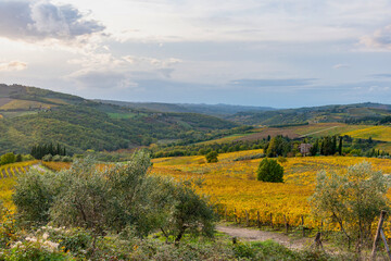 Chianti vineyards in autumn