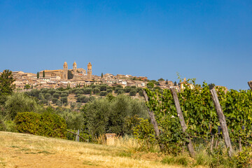 Fototapeta premium Tuscany's most famous vineyards near town Montalcino in Italy