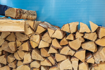 Close up view of a man putting firewood in a woodpile. Sweden. 