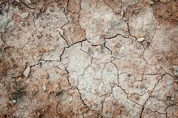 Cracked Soil during Dry Season. Earth Climate Change Drought. Global Warming Concept 