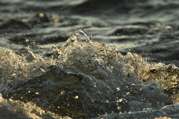 water drops and waves splash in sunset light