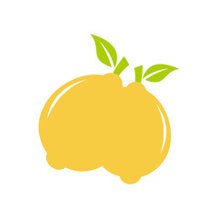 Lemon vector logo illustration symbol