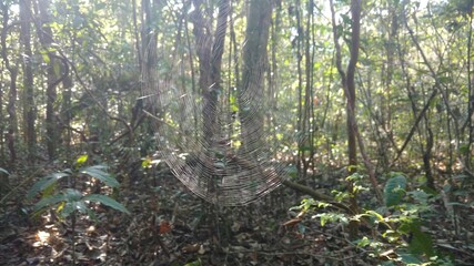 Construindo sua casa