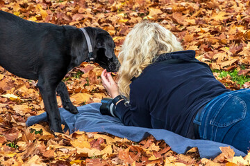 A blonde young woman wearing blue jeans and blue hoodie with a black dog and a photo camera lying...
