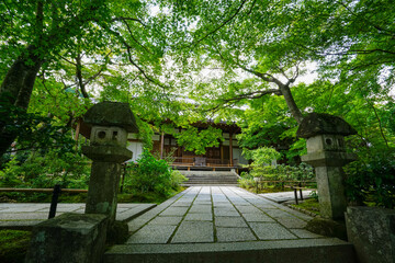 常寂光寺の境内