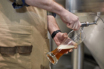 Close up of male brewmaster pouring craft beer into glass from tap at brewing factory, copy space