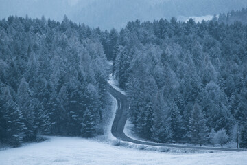 Winding road in snowy forest