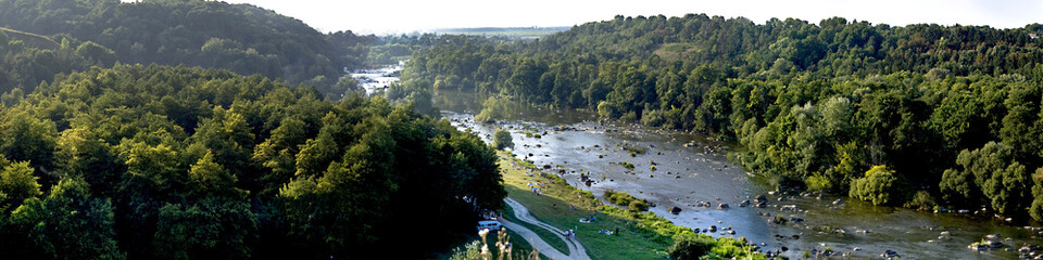 beautiful forest and river