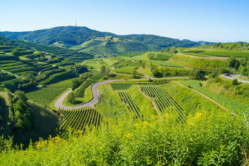 Beautiful vineyard landscape showing a curvy mountain pass road at the Kaiserstuhl, Germany.