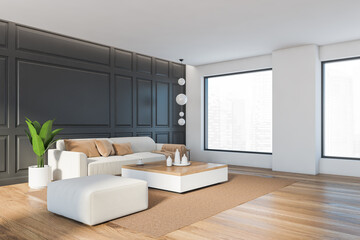 Fototapeta na wymiar Grey living room with furniture, decoration and window