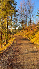 Naklejka premium Weg