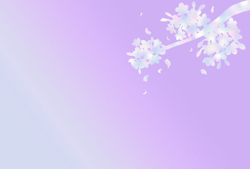 桜　枝　シルエット　背景　紫　グラデーション　和風　美しい　春　イメージ