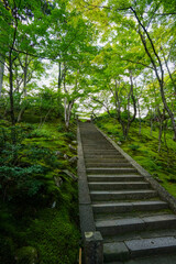 常寂光寺の境内