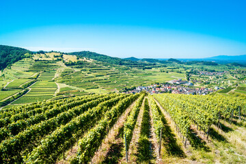 Fototapeta na wymiar Beautiful view of a vineyard terraces and a village in the valley at Kaiserstuhl, Germany under a clear blue sky. The Rhine valley and the french Vosges mountains are in background.