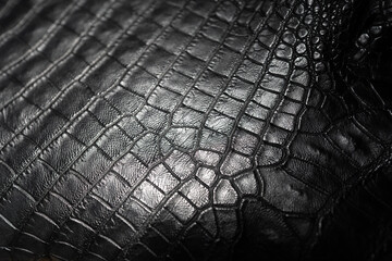 Close up of black Crocodile,Alligator belly skin texture use for wallpaper background.Luxury Design...
