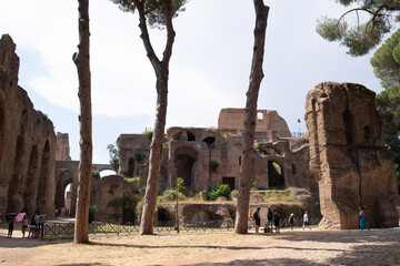 Fototapety  Forum Romanum Rzym zabytek latem