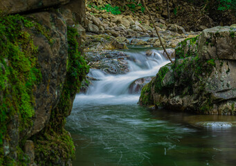 waterfall in the forest