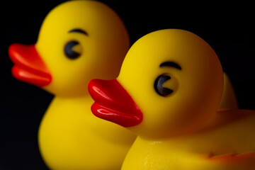 Yellow Rubber Duck