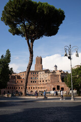 Rzym miasto zabytkowe Włochy latem