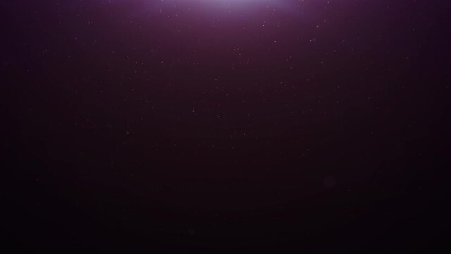 Purple gold dust particles glimmering on black background. Beautiful easy to use as an overlay on your footage.