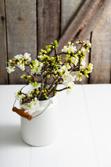 Fototapeta na wymiar cherry flower blossom branch in enamel milk canister at white wooden table, old weathered wood wall background