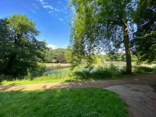 Looking beyond the trees, at the lake, and blue sky in, Roundhay Park, Leeds, UK