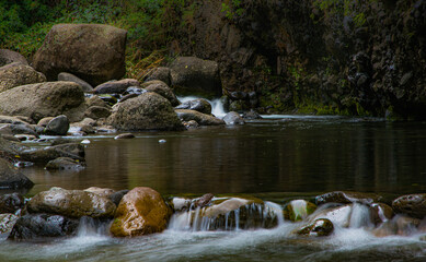 Maui Stream