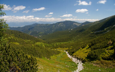Fototapeta na wymiar alpine walkway in the valley / Low Tatras (Nizke Tatry), Slovakia