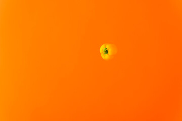 宙を舞うパプリカ