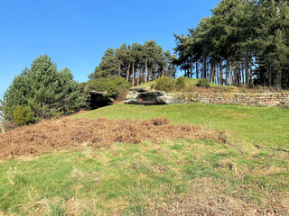 A view of the Cheshire Countryside at Carden