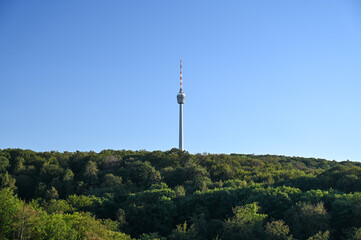 Autumnal view of the Stuttgart TV tower under a cloudy sky. The TV tower is surrounded by forest. Some colorful leaves are framing this picture.