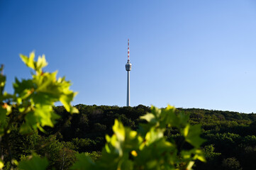 Autumnal view of the Stuttgart TV tower under a cloudy sky. The TV tower is surrounded by forest....