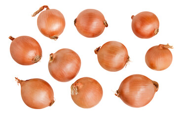 Top view of onion bulbs lying separately isolated on white background.