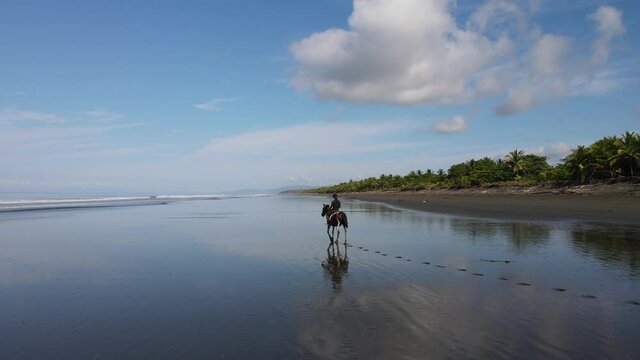 Epic woman on a horse walking on a beach mirror reflection aerial Costa Rica