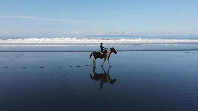 woman riding a horse by the ocean Costa Rica zancudo beach 