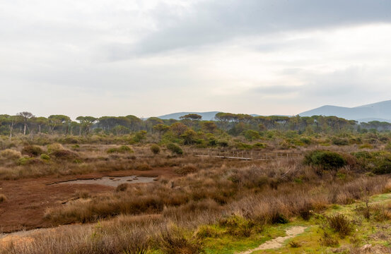 Alberese parco della maremma