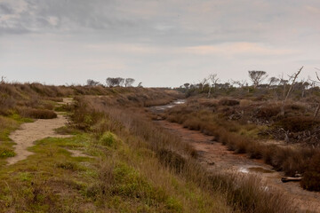 Alberese parco della maremma