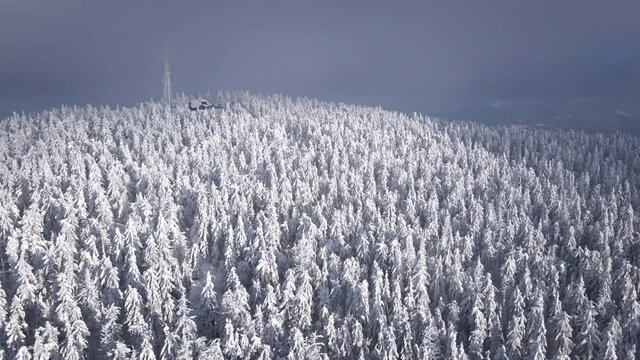 aerial view of snowed forest in mountains on sunset