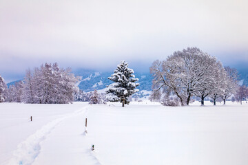 Fototapeta na wymiar Allgäu - Winter - Burgberg - Häuser - Bäume - Schnee - Goymoos