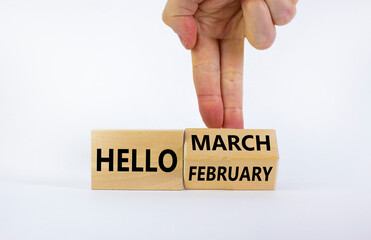 Symbol for the change from February to March. Businessman turns wooden cubes and changes words 'Hello February' to 'Hello March'. Beautiful white background, copy space. Hello March concept.