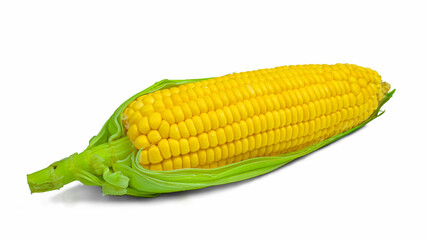 Single ear of corn with green leaves . Fresh corn on cob isolated on white background.