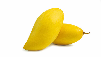Ripe yellow mango species name Nam Dok Mai. A popular mango native to Thailand. For dessert Mango Niew Rice Isolated on white background